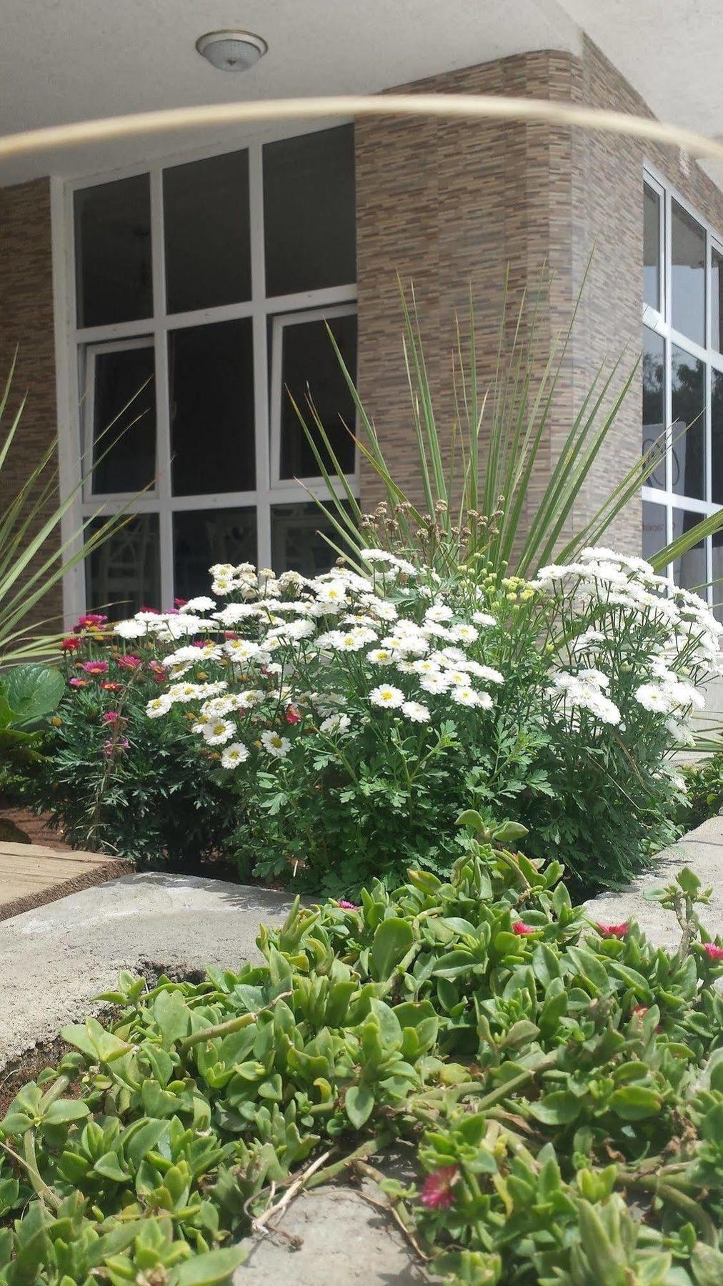 White House Addis Hotel Exterior photo